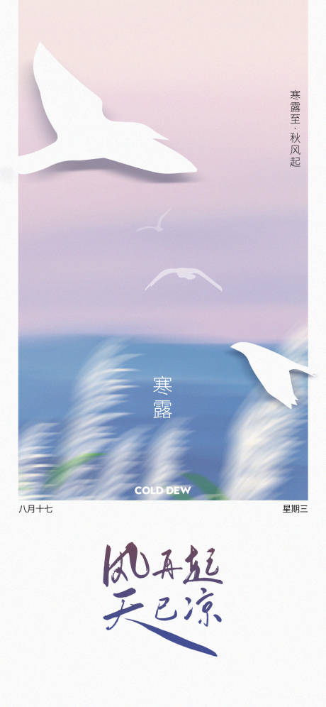 寒露海报