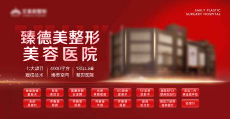 源文件下载【医美整形医院品牌 】编号：77700030440536819