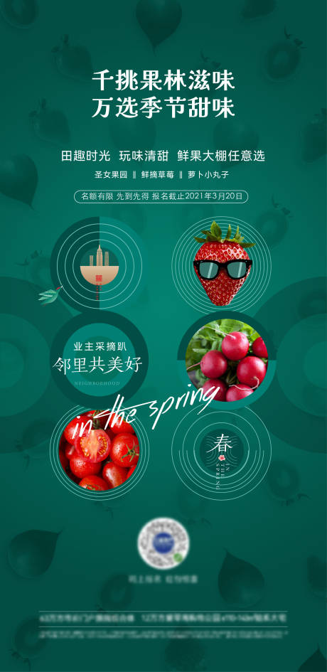源文件下载【春天踏青采摘活动海报】编号：40240029910099669