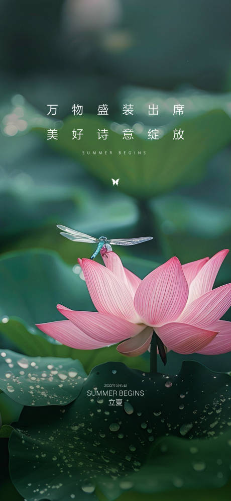源文件下載【享設計】搜索編號：58840030465072632【立夏】