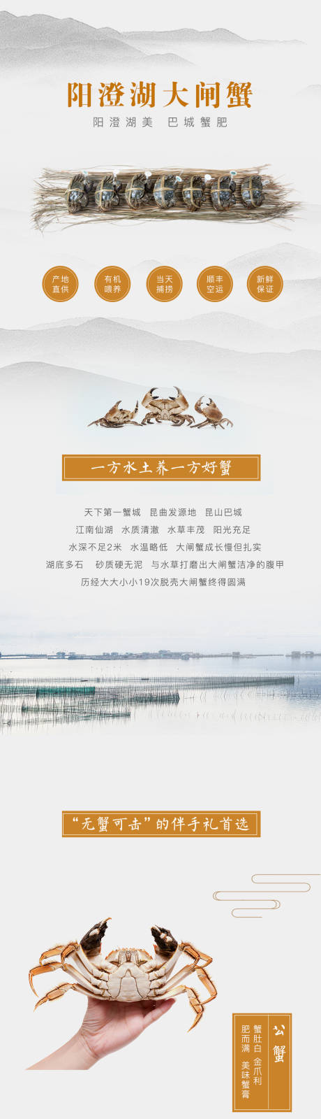 源文件下載【淡雅水墨風(fēng)大閘蟹電商詳情頁(yè)】編號(hào)：76180030038047255