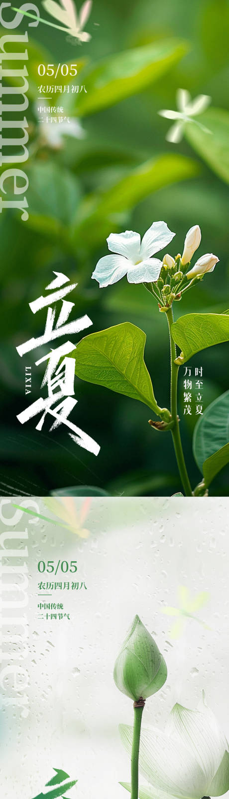 源文件下载【立夏海报】编号：95170030395021871