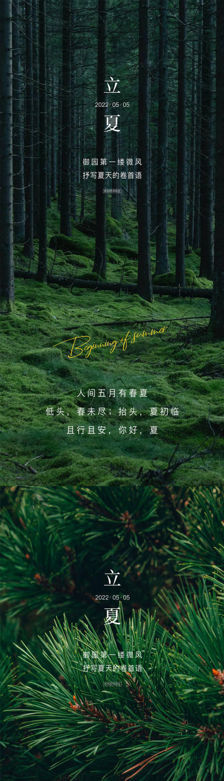 源文件下载【立夏节气系列海报】编号：81680030436108617