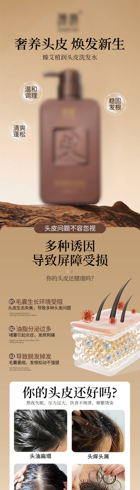 源文件下載【享設(shè)計】搜索編號：56040030204582076【洗發(fā)水詳情頁】