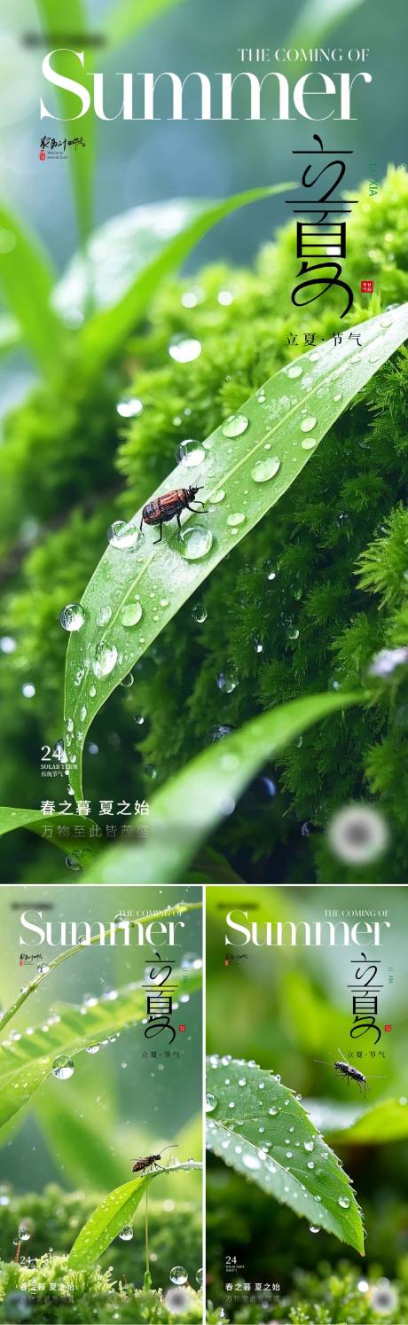 源文件下載【立夏節氣海報】編號：24830030455826437
