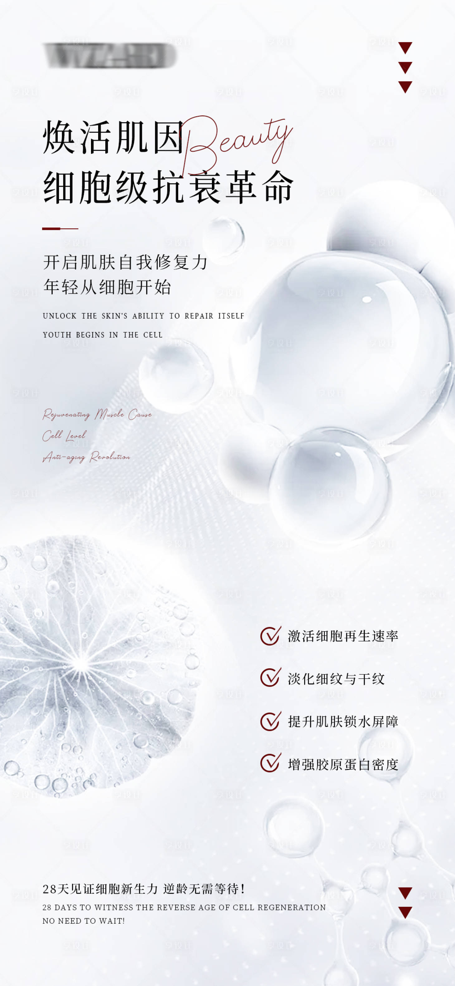 源文件下载【享设计】搜索编号：58430030137471787【细胞级抗衰革命宣传海报】