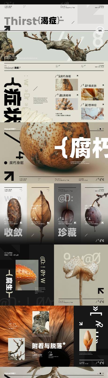 源文件下载【享设计】搜索编号：82080030333616890【自然摄影主题杂志风PPT模板】