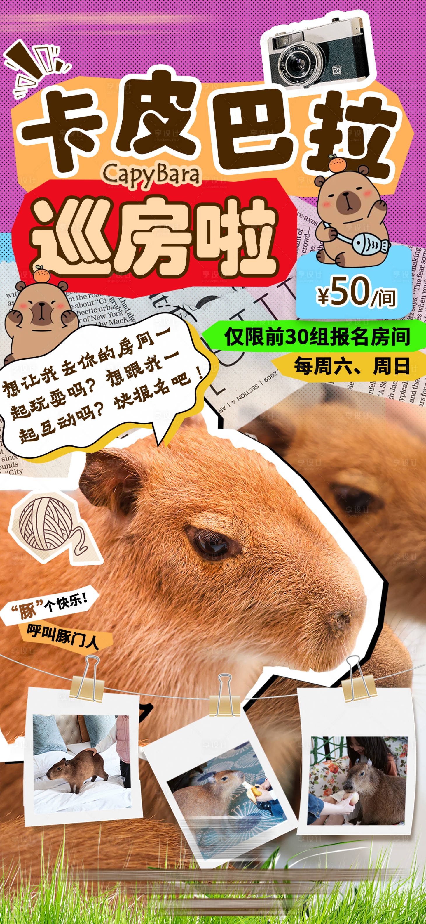 源文件下载【享设计】搜索编号：32030030106809052【卡皮巴拉巡房互动海报】