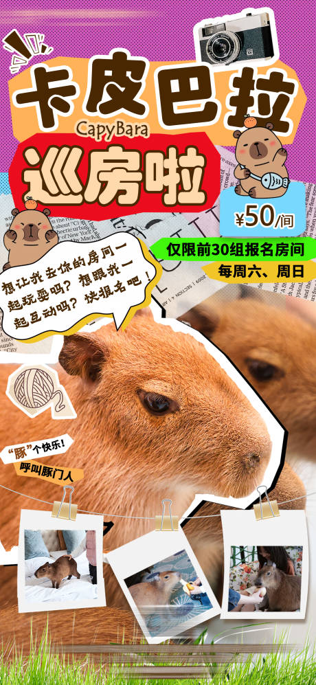 卡皮巴拉巡房互动海报