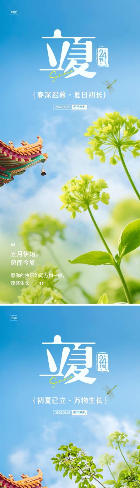 源文件下载【立夏节气海报】编号：72400030476101917