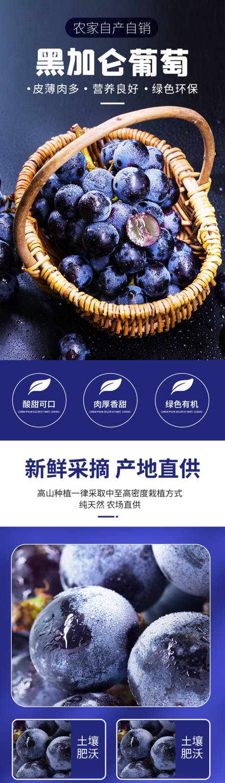 源文件下载【黑加仑葡萄水果生鲜详情页】编号：64280030020846358