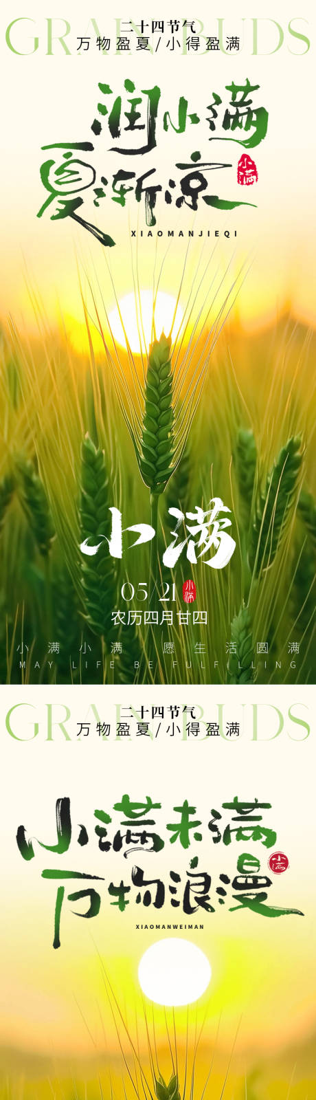 源文件下載【小滿節(jié)氣海報(bào)】編號：32260030446265818