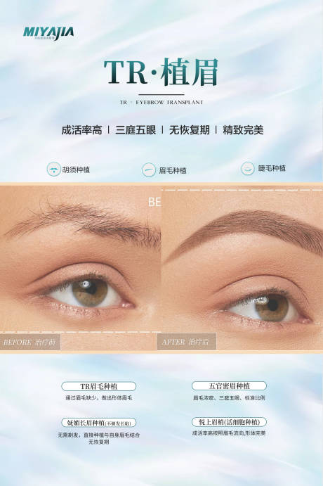 案例海报
