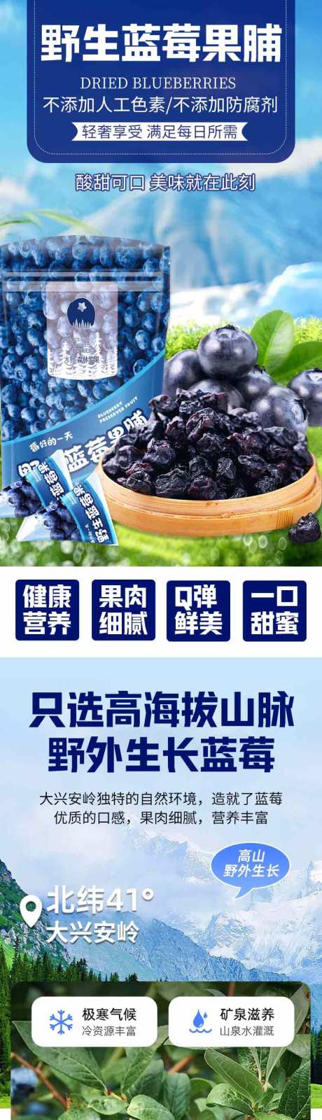 蓝莓果干果脯 