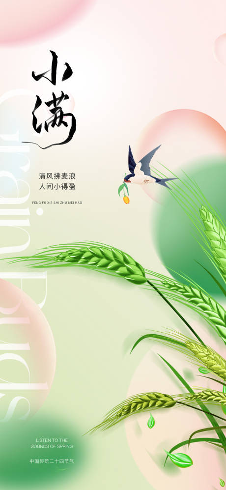 地产小满节气海报
