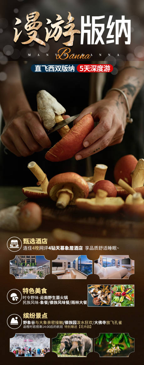 源文件下載【享設計】搜索編號：13520029943199902【云南西雙版納旅游定制】