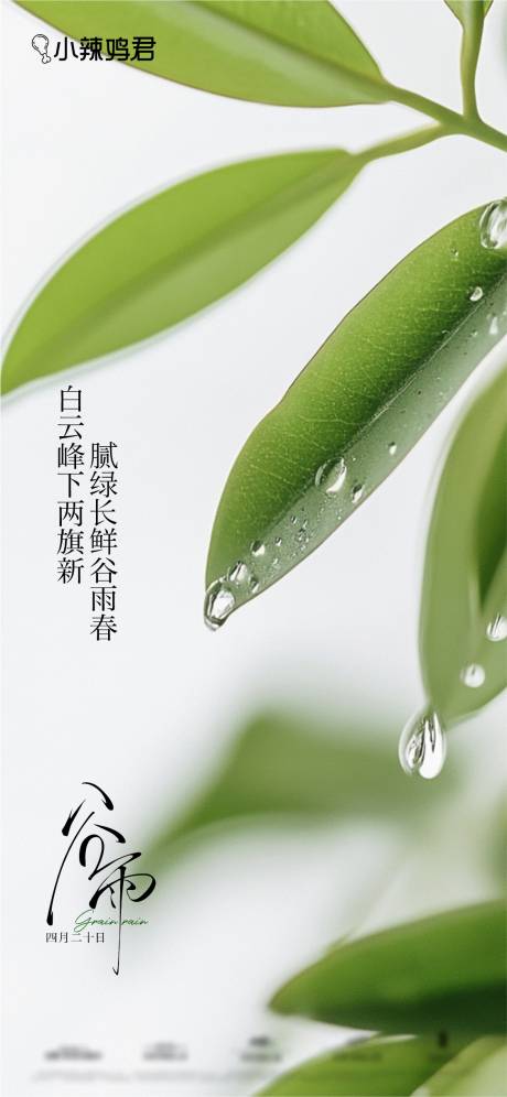 源文件下載【谷雨節(jié)氣海報】編號：60800029993466751