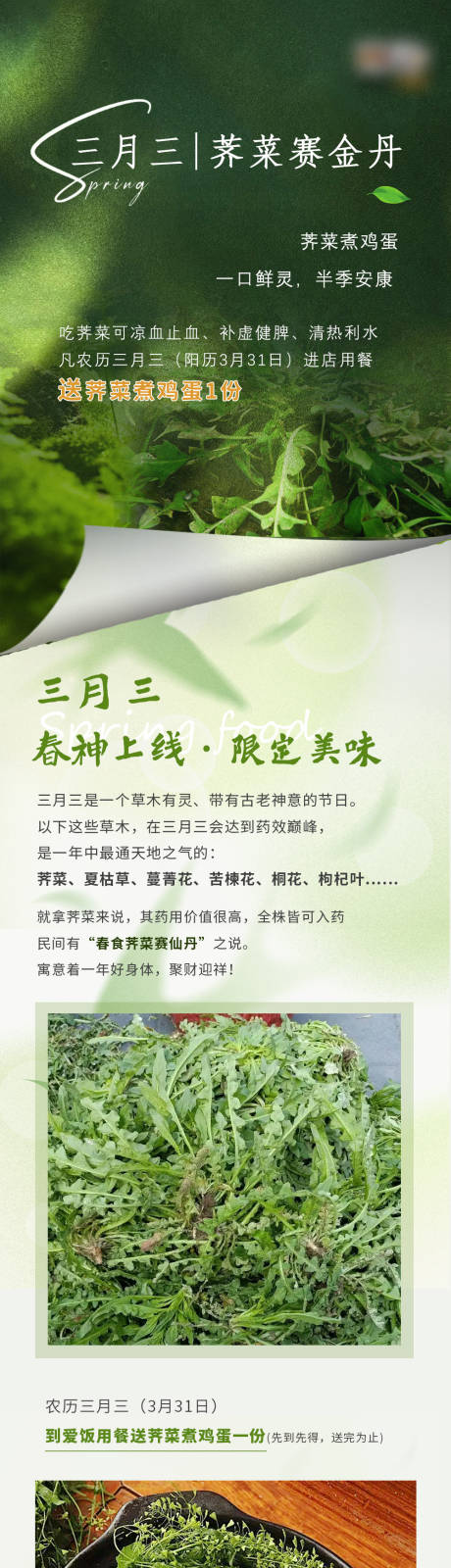 源文件下載【三月三薺菜長(zhǎng)圖】編號(hào)：64640029973502441