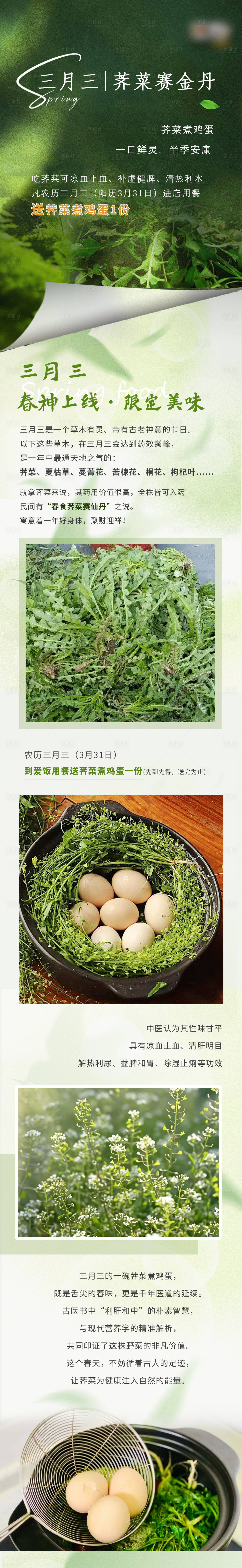 源文件下载【享设计】搜索编号：64640029973502441【三月三荠菜长图】
