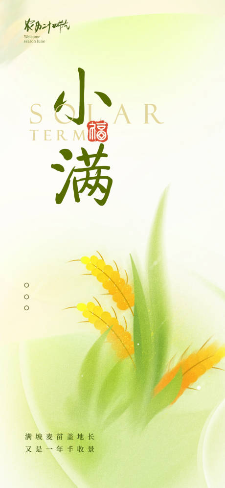 小满二十四节气海报