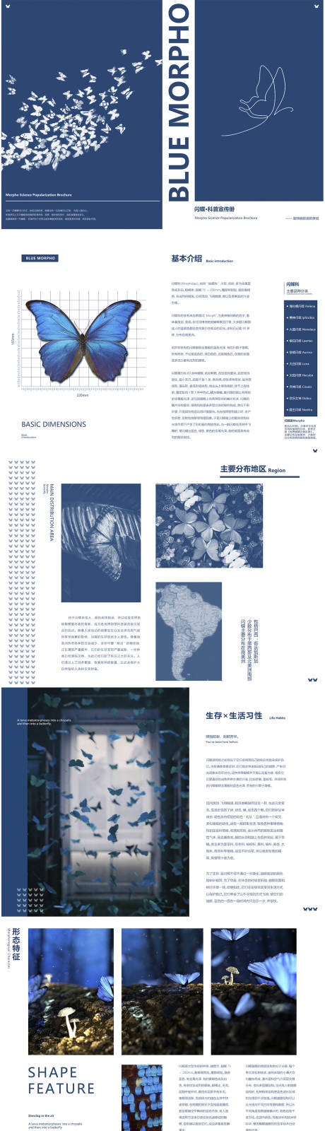源文件下载【享设计】搜索编号：84070030348152750【蝴蝶标本画册】