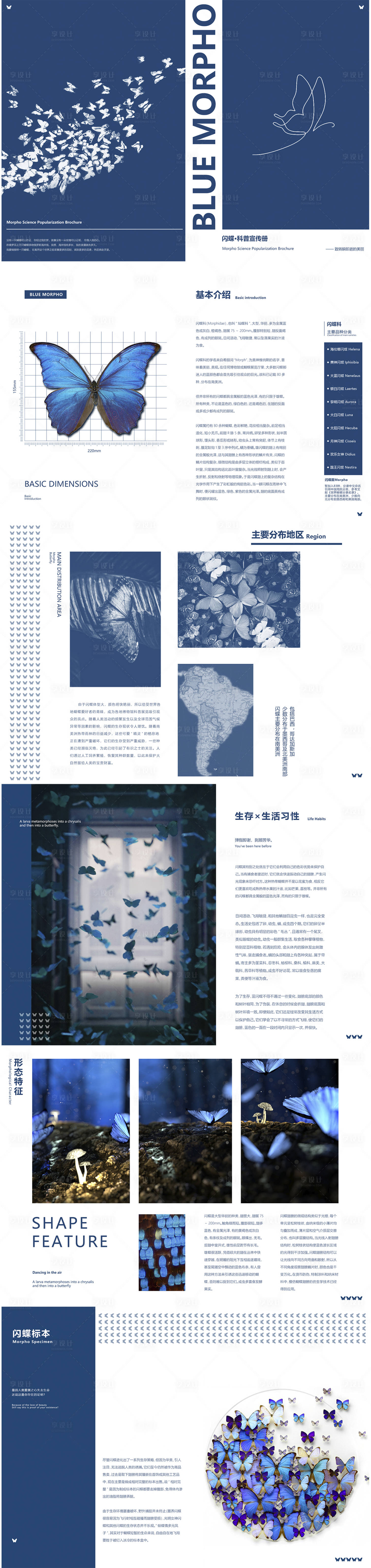 源文件下載【享設計】搜索編號：84070030348152750【蝴蝶標本畫冊】
