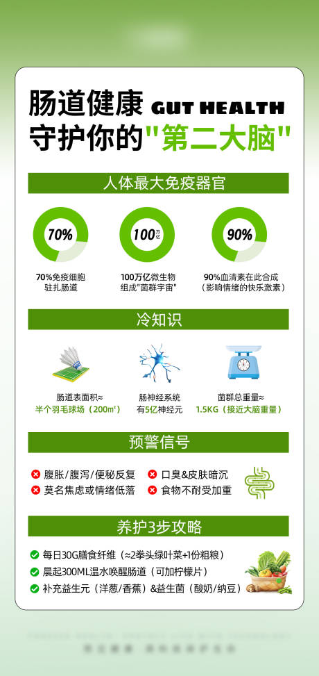肠道健康 