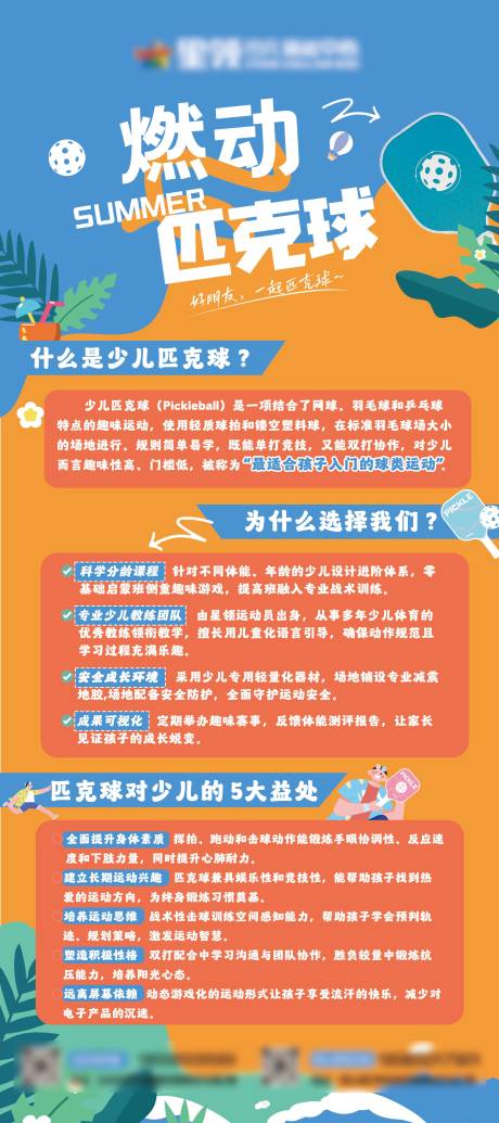 少儿匹克球项目介绍海报
