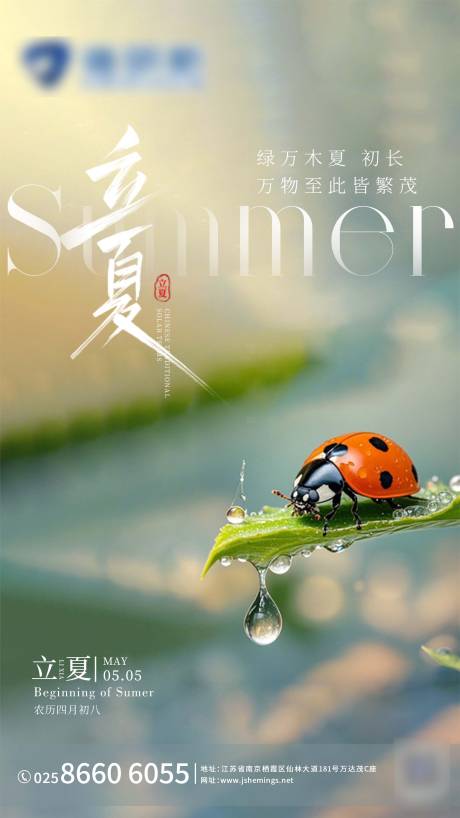 源文件下载【享设计】搜索编号：62740030371916610【立夏节气海报】
