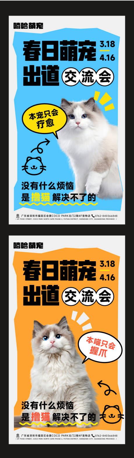 源文件下载【宠物海报】编号：23560029977323796