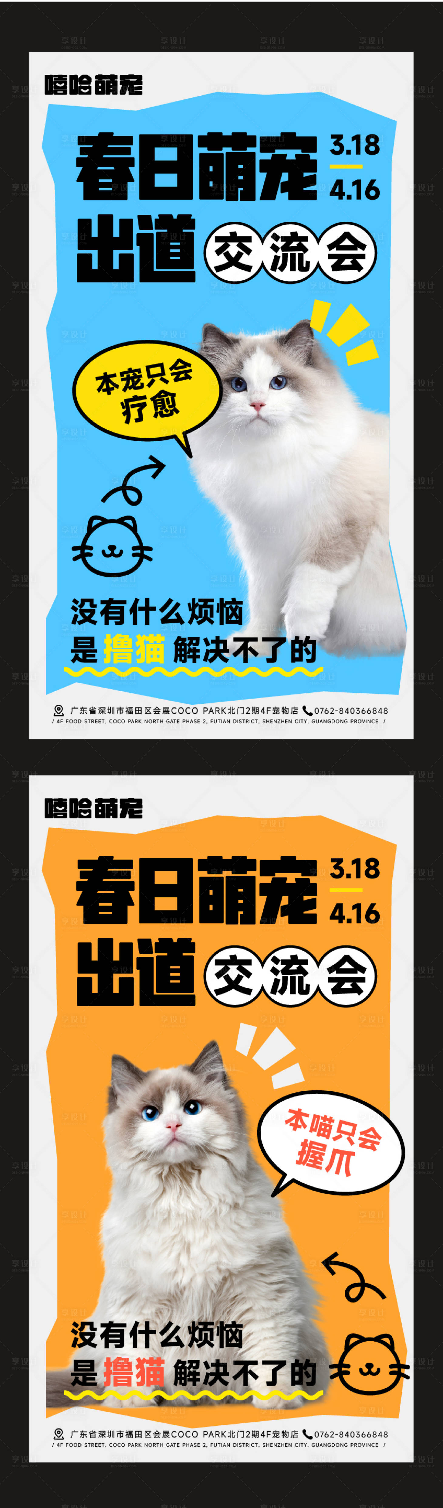 源文件下载【宠物海报】编号：23560029977323796