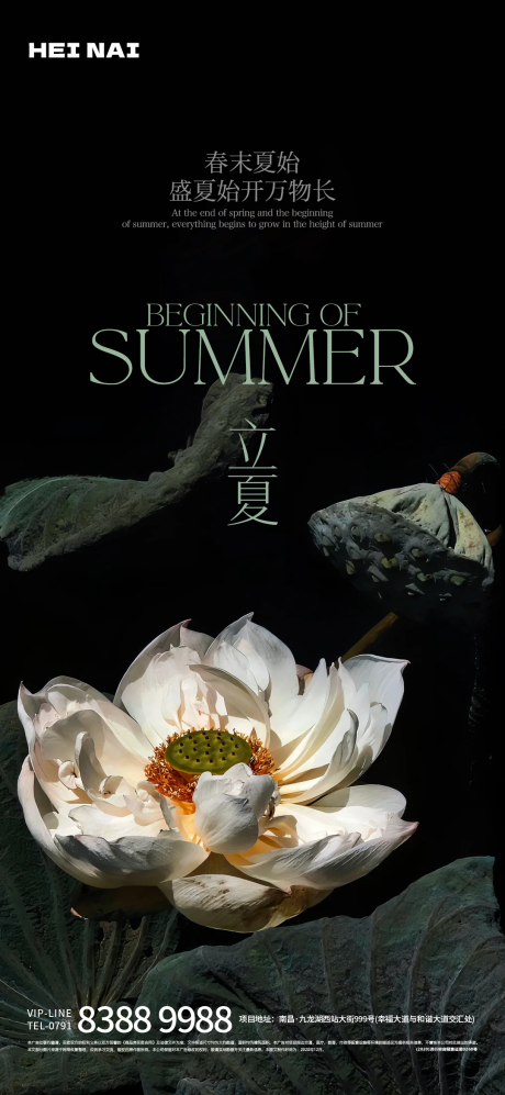 源文件下载【二十四节气立夏荷花意境海报】编号：21740030431849762