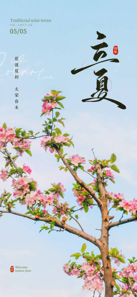源文件下载【立夏节气海报】编号：39840030120552985
