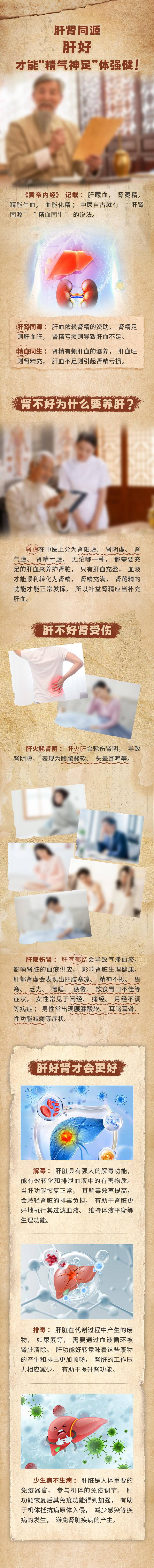 源文件下載【享設(shè)計(jì)】搜索編號(hào)：24620029882237973【肝腎同源長(zhǎng)圖海報(bào)】