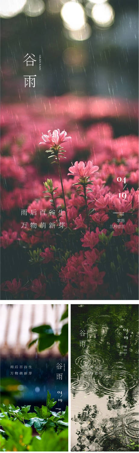源文件下載【享設(shè)計(jì)】搜索編號(hào)：96270030149858226【谷雨節(jié)氣系列海報(bào)】