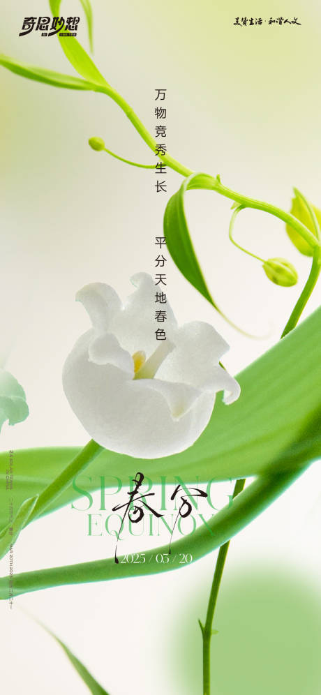 源文件下载【春分节气海报】编号：83210030153217266