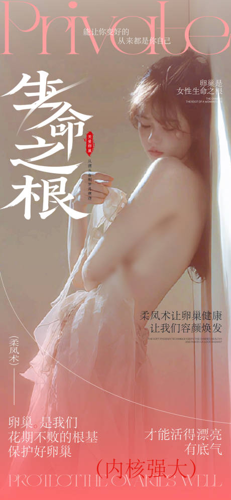 私密保养医美海报