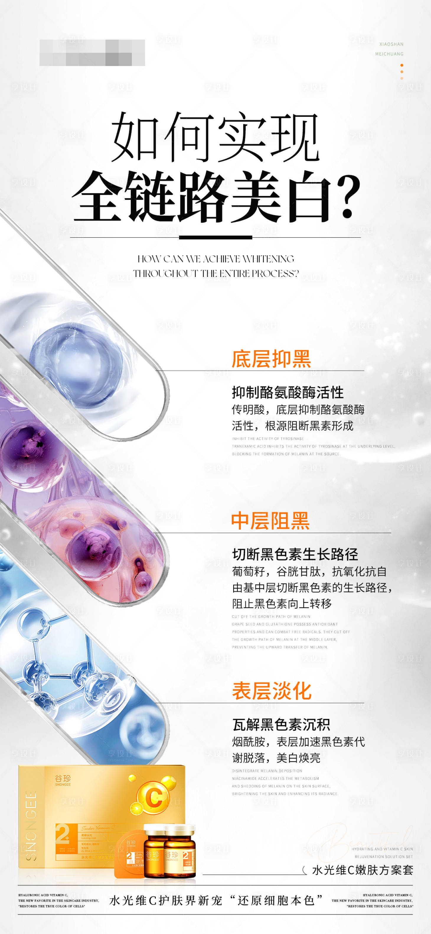 源文件下载【美白产品成分海报】编号：11110030029125341