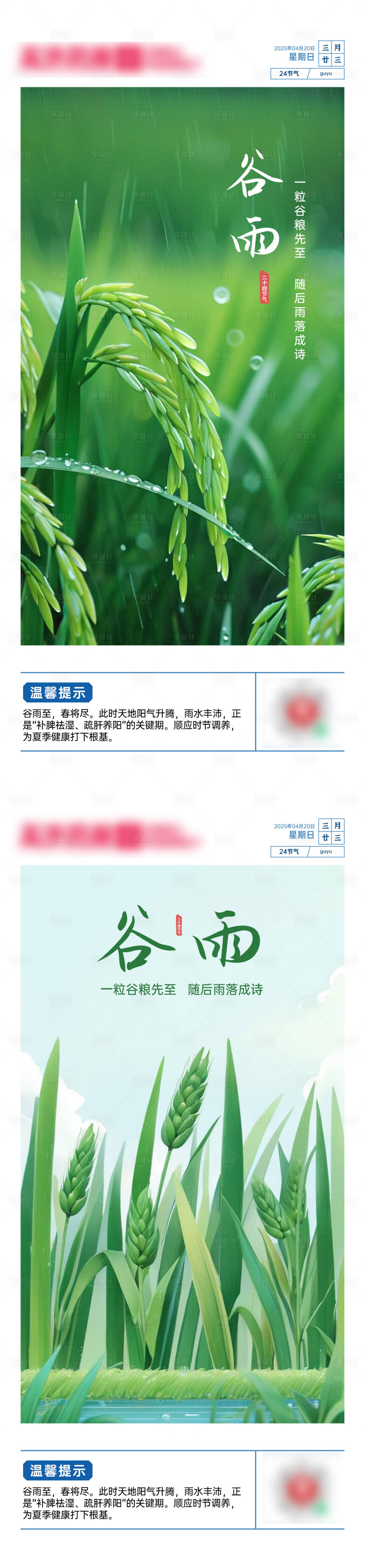 源文件下载【享设计】搜索编号：15800030299239308【二十四节气谷雨海报】