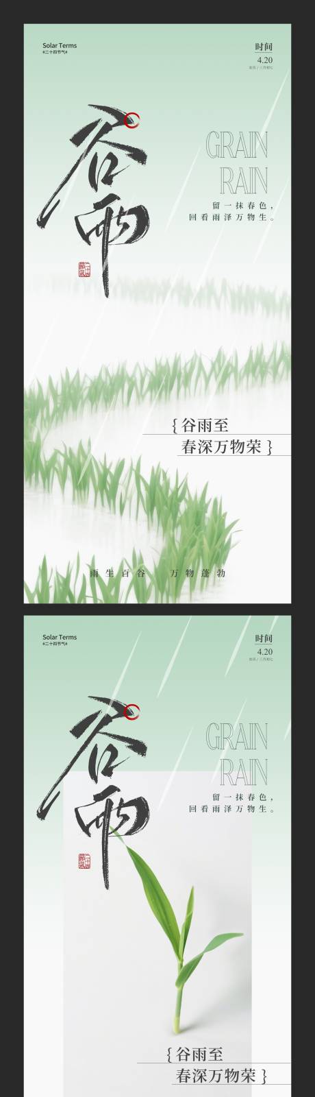 谷雨简约节气海报