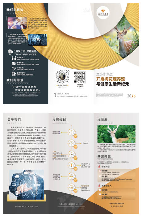 源文件下載【三折頁】編號：65940030063571012