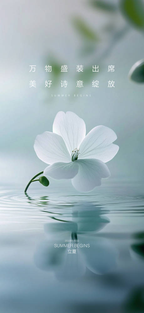 源文件下載【享設(shè)計(jì)】搜索編號(hào)：29790030465082701【立夏】