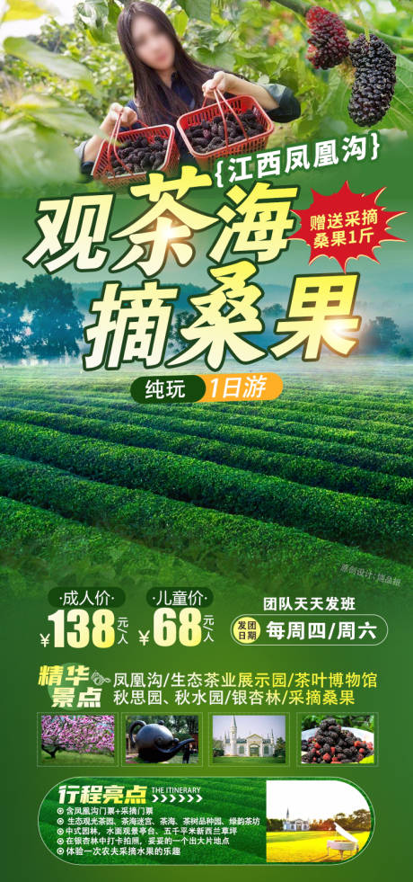 源文件下载【南昌桑果采摘海报】编号：21630029884758700
