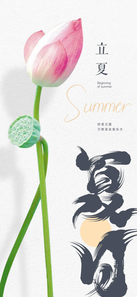 源文件下载【立夏节气荷花简约海报】编号：12970030130742851