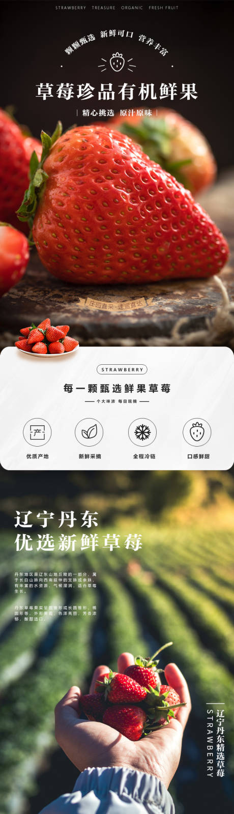 源文件下載【享設計】搜索編號：52300030347878717【草莓電商詳情頁】