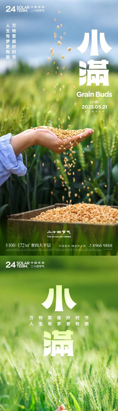 源文件下載【小滿節氣創意海報】編號：11450030021395288