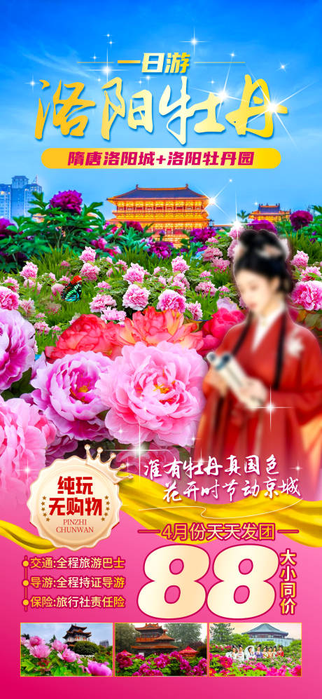 洛阳牡丹