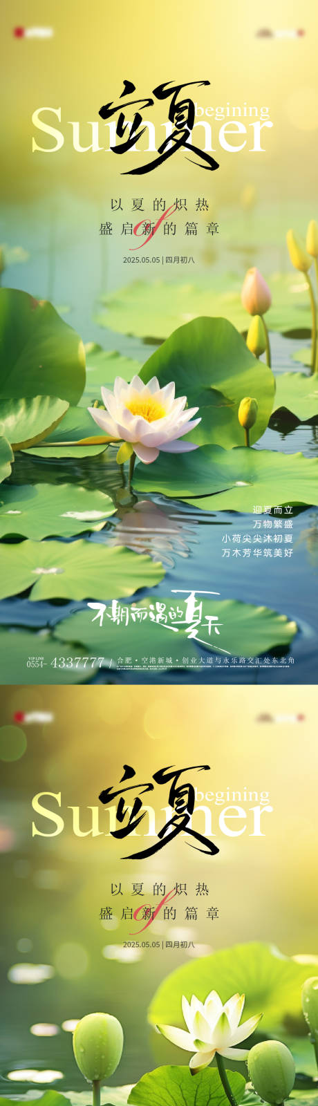 源文件下载【立夏荷花湖景节气系列海报】编号：23480030387357230