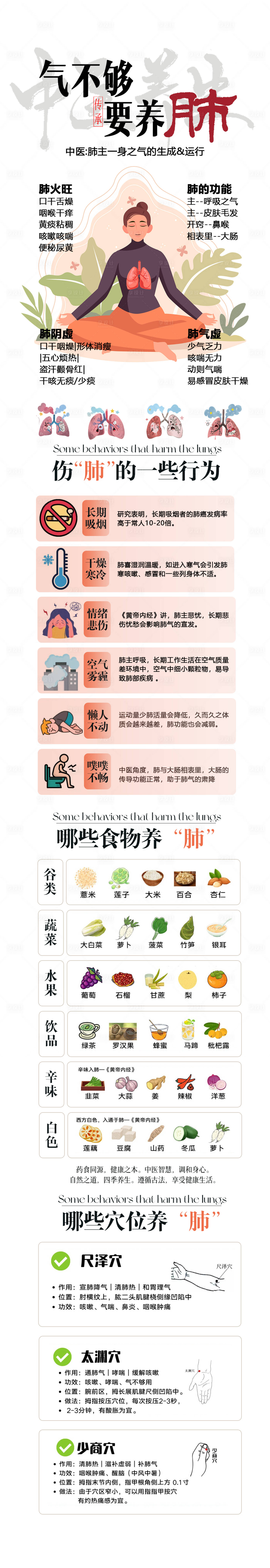 源文件下载【享设计】搜索编号：20380030207447395【中医养肺长图】