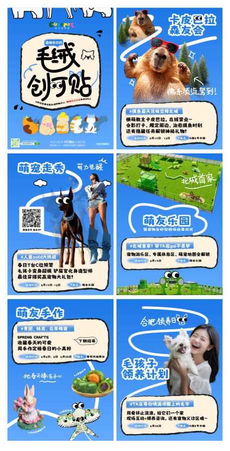 宠物友好系列活动海报